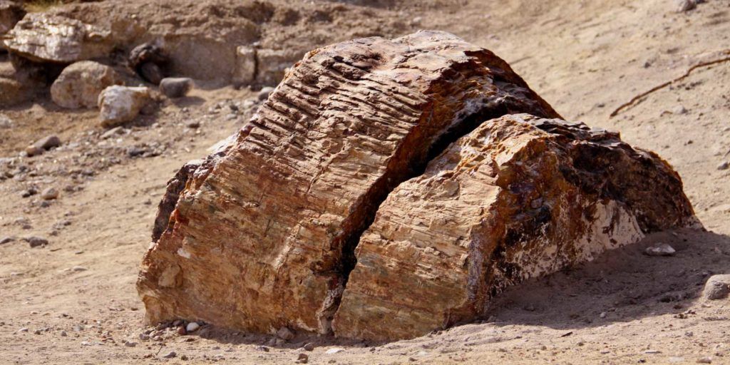 Escalante Petrified Forest State Park