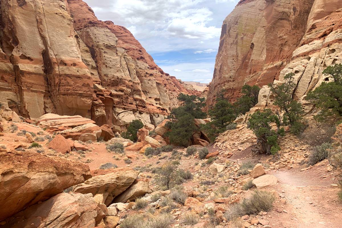 Cohab Canyon Trail
