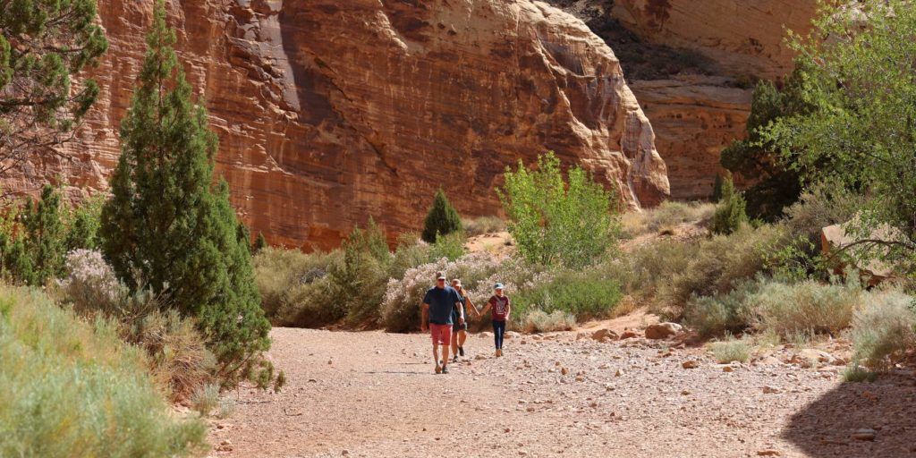Grand Wash Trail