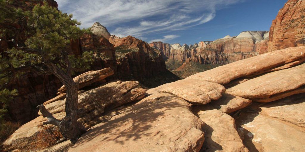 Canyon Overlook
