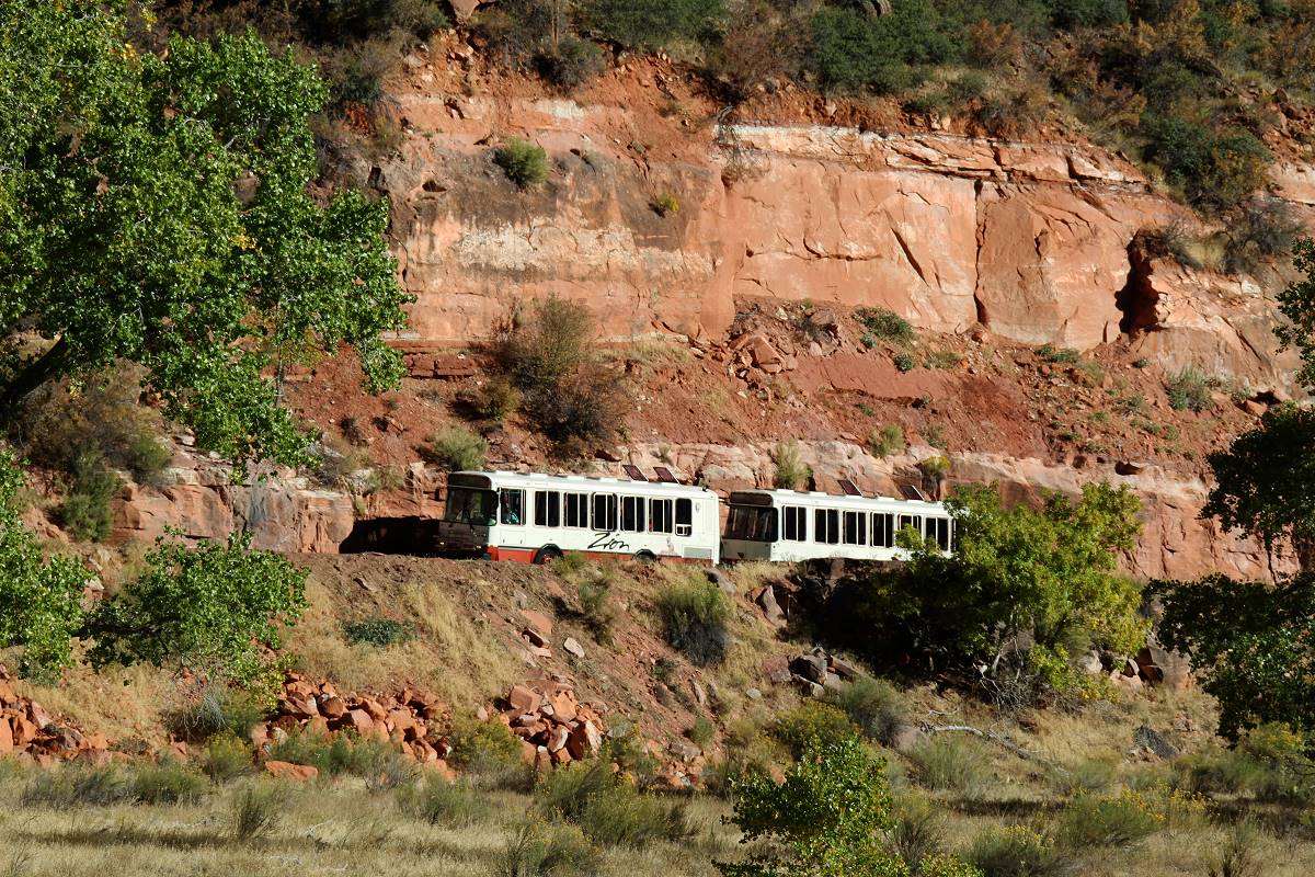 Zion Shuttle