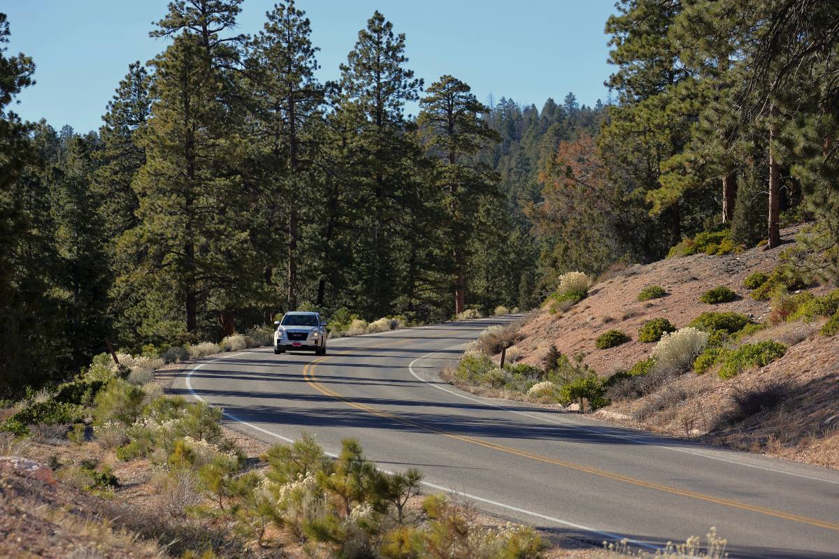 Bryce Canyon Scenic Drive