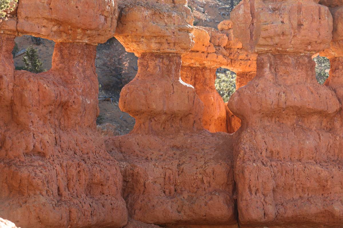 Arches Trail