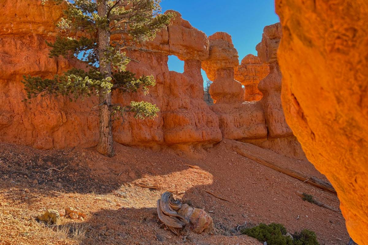 Arches Trail