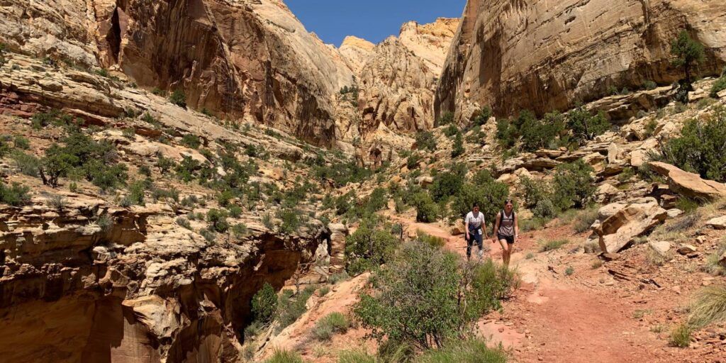 Golden Throne Trail