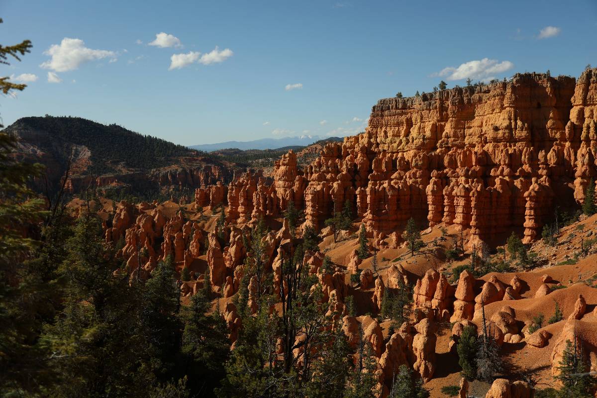 Golden Wall Trail