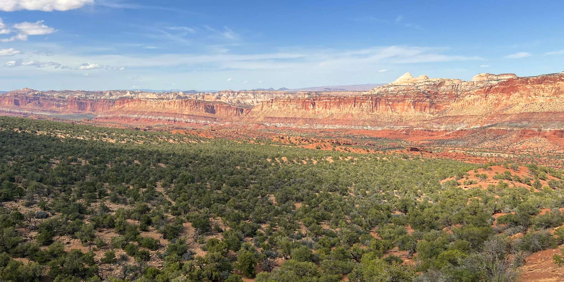 Old Wagon Trail