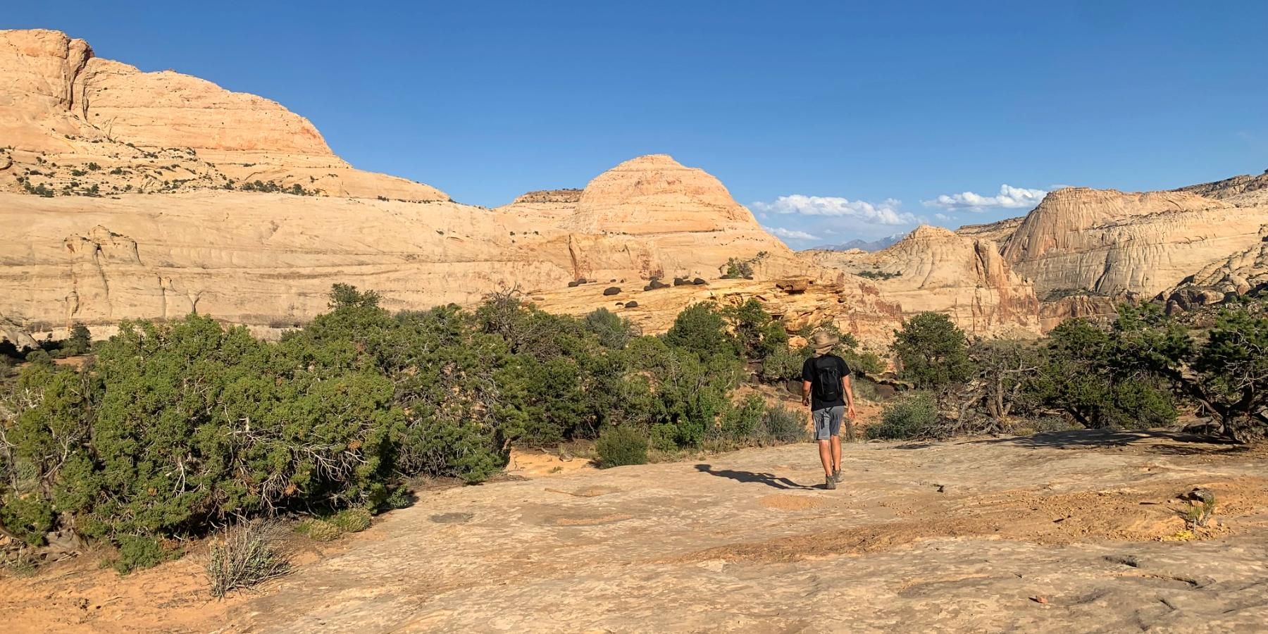 Rim Overlook Trail
