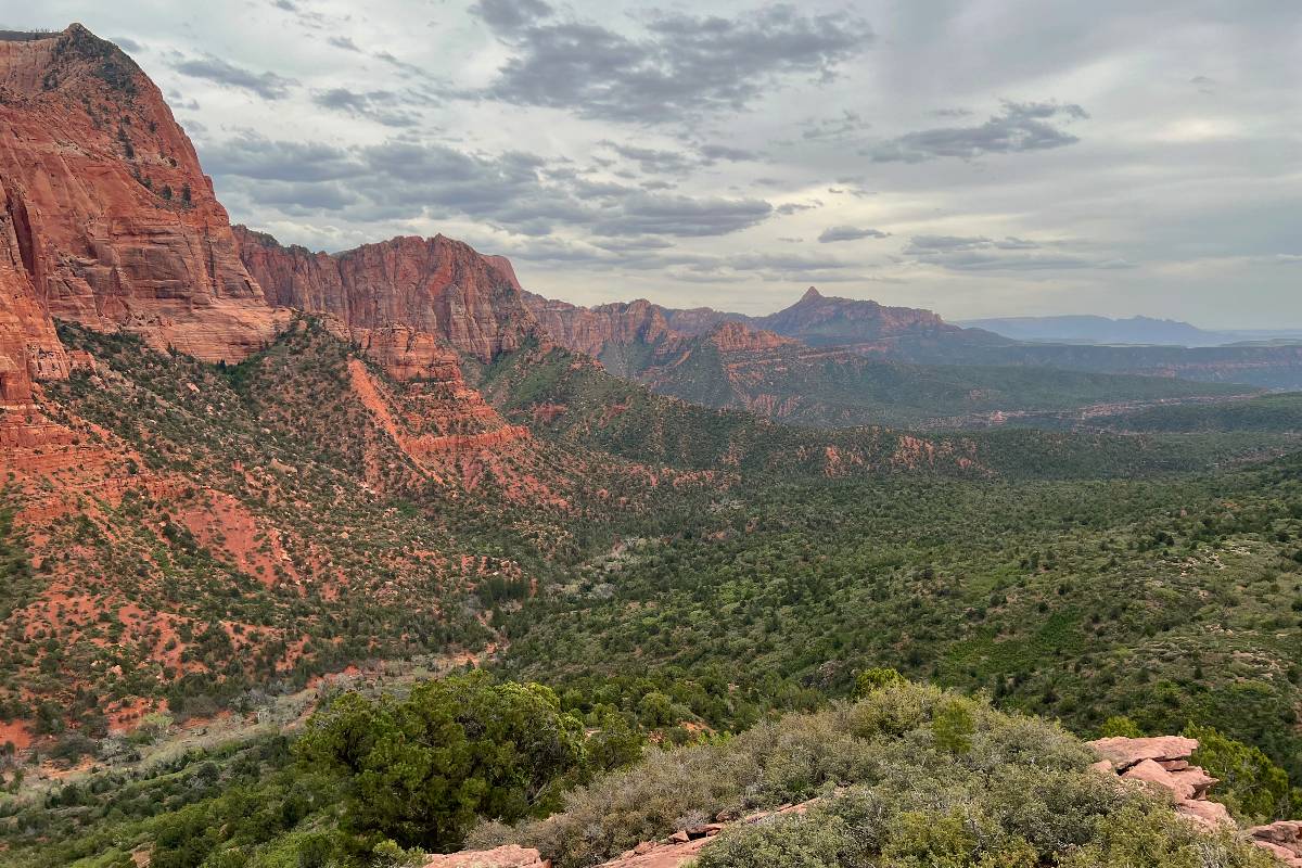 Timber Creek Overlook Trail