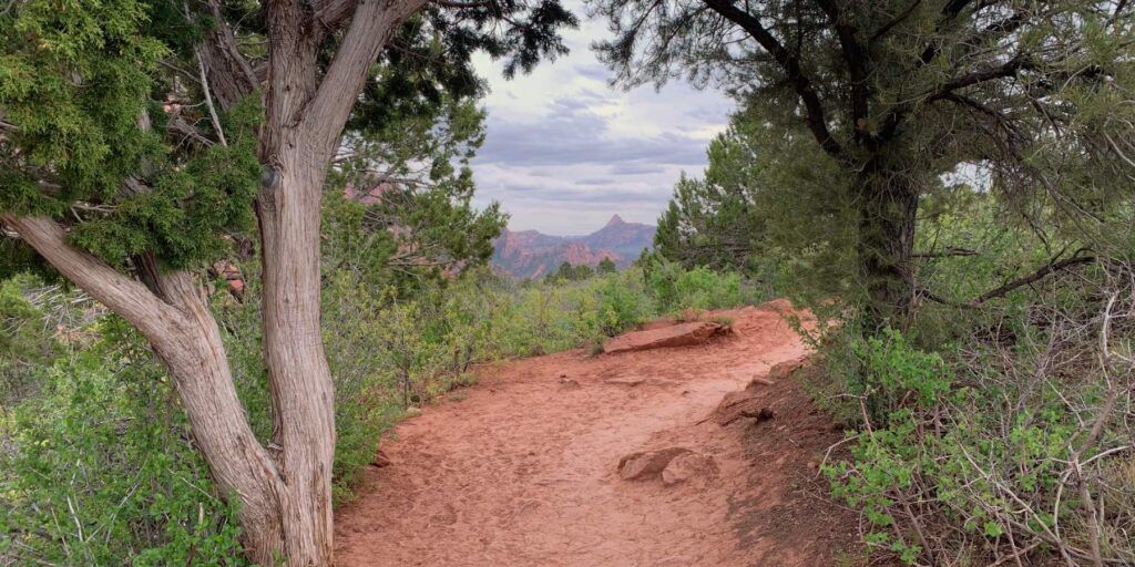 Timber Creek Overlook Trail