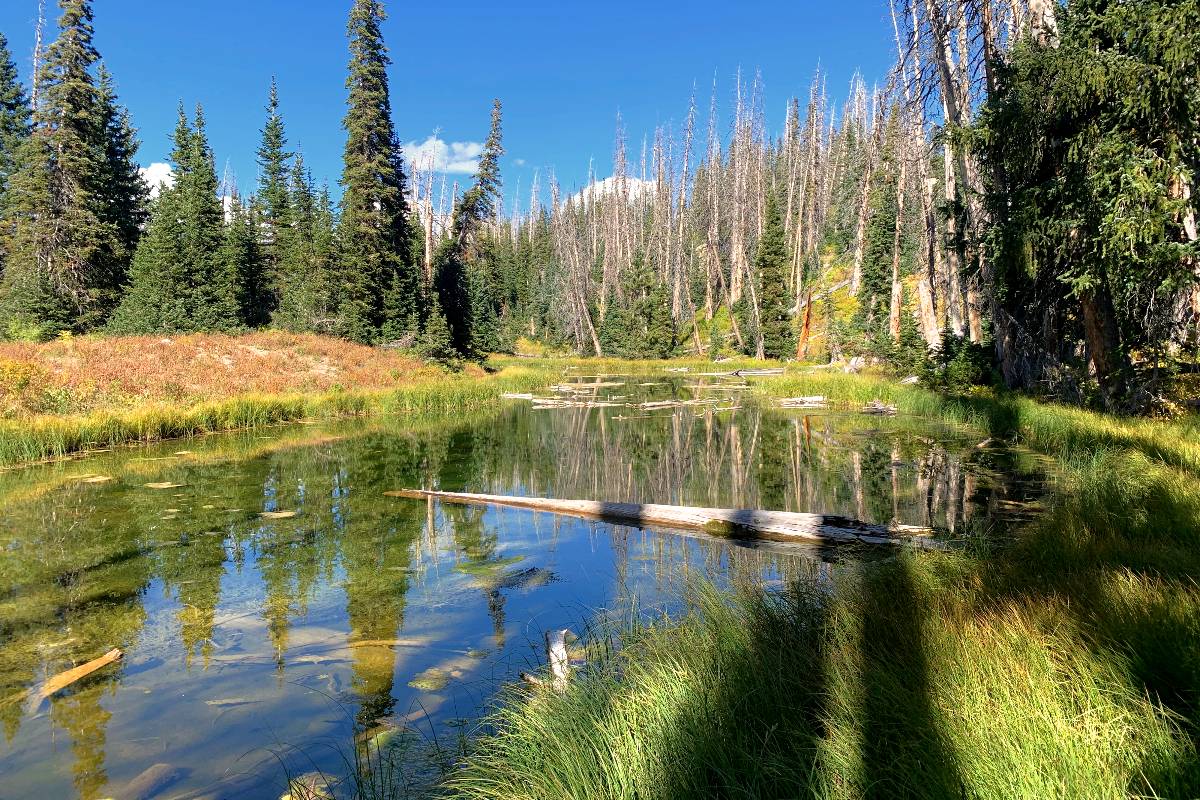 Cedar Breaks