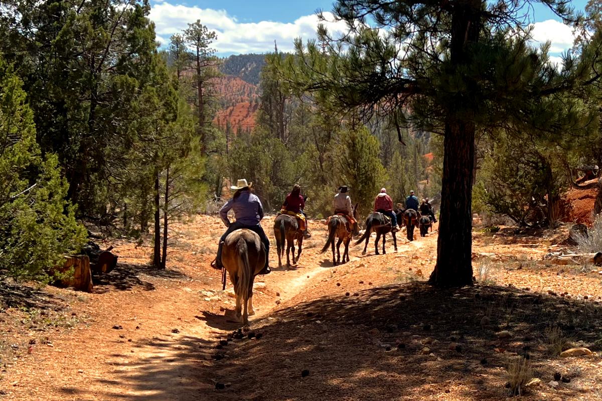 Reiten im Bryce Canyon
