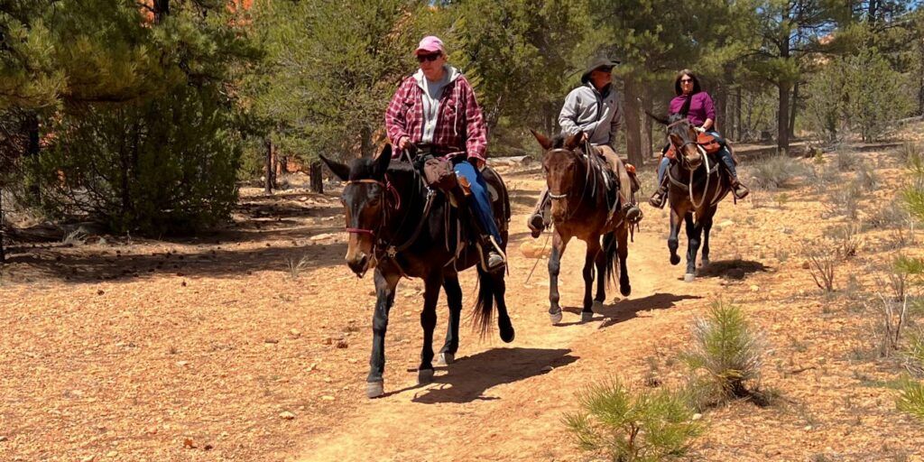 Reiten im Bryce Canyon