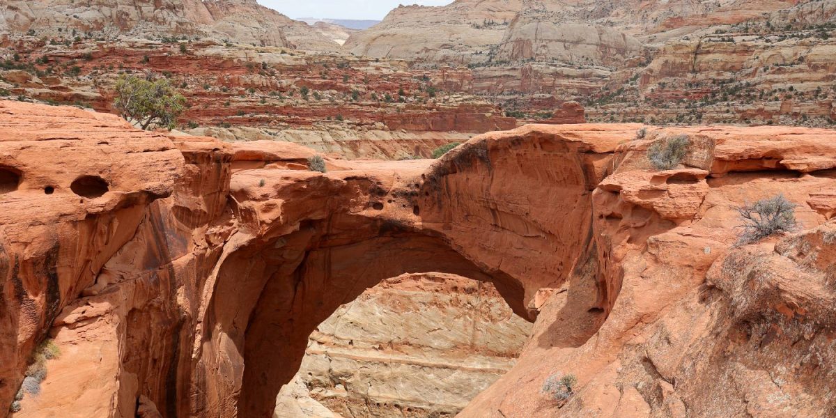 Cassidy Arch im Capitol Reef